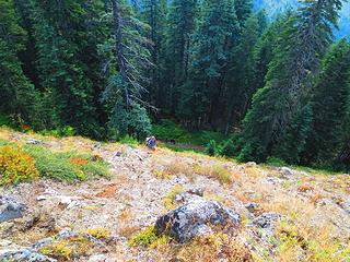 Might be a simpler trail along the entire E-W ridge. This is where we left the main trail to go up.