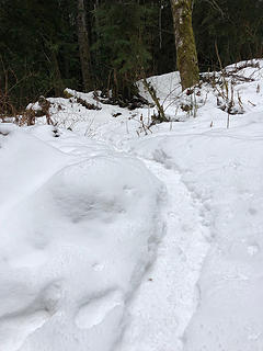 Necklace Valley Trail 1/15/19