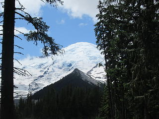Rainier from the Glacier Basin Trail