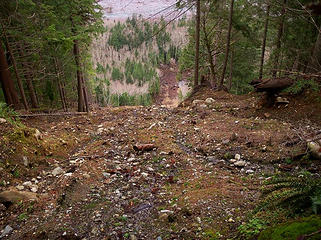 Slide area from trail.