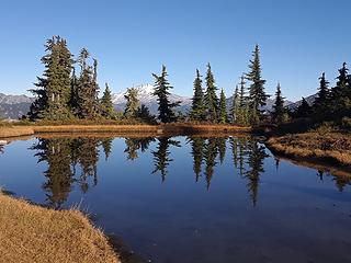 Meadow tarn