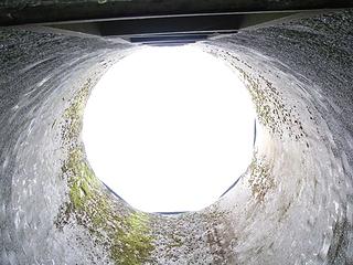 Inside Silo looking up