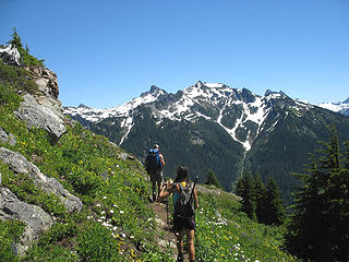 Flowers And Peaks