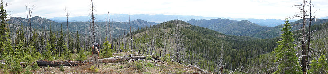 It wasn't all open park land there were sections of blowdown, thick vegetation, and loose rocky soil.