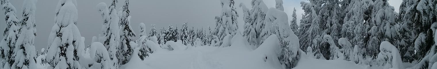 Deep powder