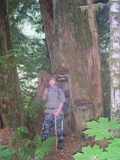 Quick snapshot of my son beneath an ancient tree with huge shelf fungi.