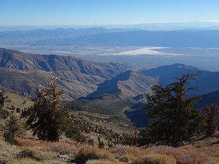 Bristlecones and Badwater