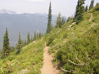 Views heading down Crystal Peak trail.