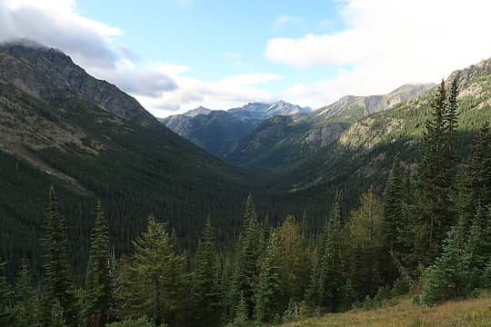 clearing above Eureka Creek and Robinson