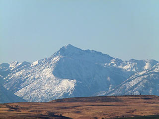 Cashmere from across the Plateau.