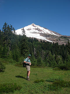 After meandering through forest, the trail pops out on the first of many meadows, and the first of many views of Mt Baker