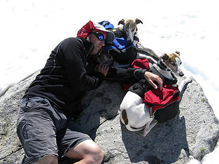 Nap time with the whippets