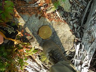 another geological survey marker