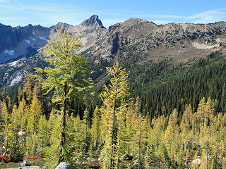 Larch on way down.