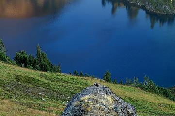 Closer view of the marmots