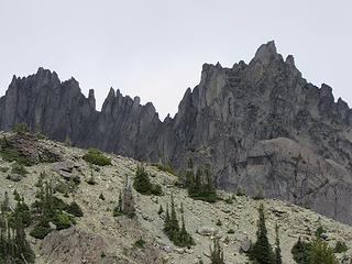 Needles close-up