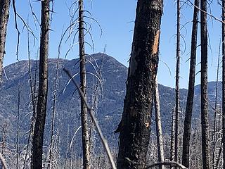 Goat Mtn Lookout