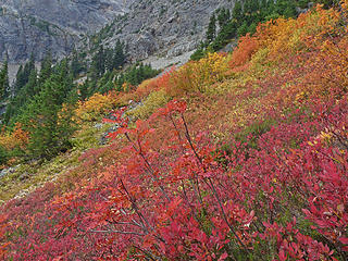 The trail to Easy Pass was very colorful