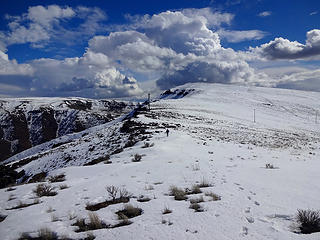 Along Skyline Ridge.