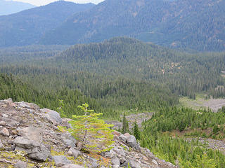 From the crest of the Metcalf moraine look south to  sparsely forested Schreibers Meadow. It is the surface of a lava flow that came from the base of the Schreibers Meadow cinder cone about 9500 years ago.  The flow is clearly evident in the valley below, especially if you take the road to Blue Lake/Dock Butte trailhead, which directly crosses the very rough flow surface. The flow is NOT "rough" near the cinder cone due to being covered by a lahar.  In this view you can clearly see the summit crater of the cinder cone, which is the forested hill in the middle distance.