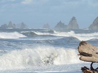 Beautiful Rialto Beach on Halloween