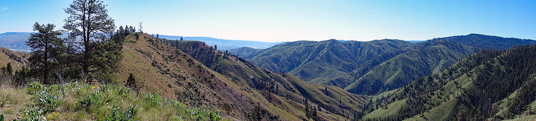 Chopper Ridge left and #2 Canyon below, also Saddle Rocks West ridge and Pitcher Mountain across the canyon.