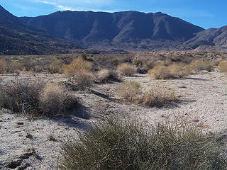 Looking west to the edge of the Laguna Mtns.