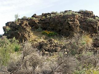 Nice arrangement of Balsam Root and Basalt