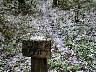 Lower West Tiger 2 trail (Upper Seattle View trail.) off of TMT.