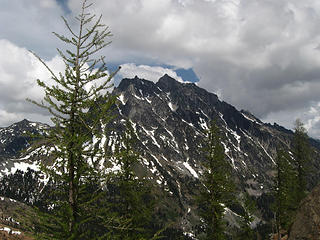 Stuart and some green larch