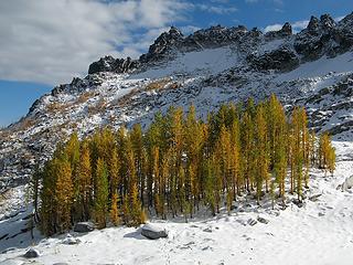 Green & Gold stand on the flank of McClellan