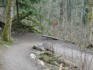 Back to RR trail junction on West Tiger 3 trail.