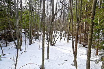 Finally, a ways before the marked trail/road on the GPS I came across this old road and travel became much easier.