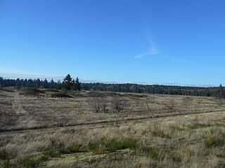 West Rocky Prairie Wildlife Area 012421 25