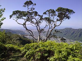 Upper Wa'ahila Ridge