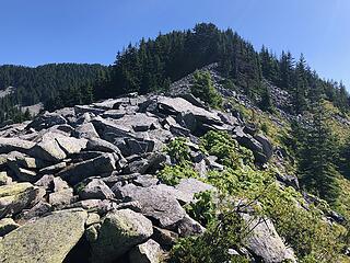 Scrambling the West Ridge of Web