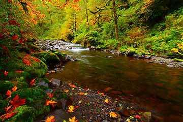 Taken Friday in the Columbia River Gorge.