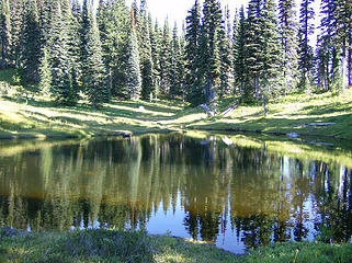 Pond by cabin