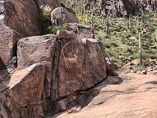 Superstition Wilderness 4/10/19