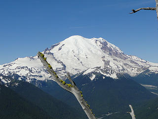 Rainier from Crystal Peak trail.