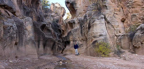 Willis Creek Canyon