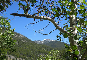 Along the trail to Cougar and Hidden Lakes 6/19 to 6/22/17