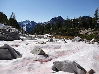 Enigma basin area