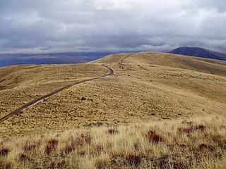 Jeep trail on the top of Umtanum Ridge.