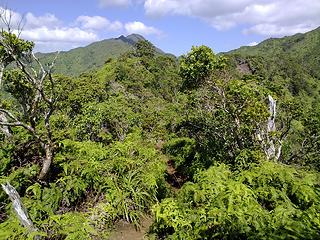 Upper Wa'ahila Ridge