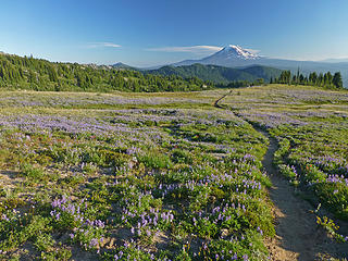 Meadow hiking