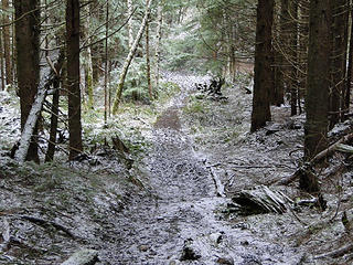 Dusting between West Tiger 2 and West Tiger 3.