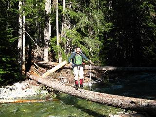 Bold, vain way to cross the log