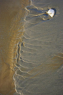 Moclips_sand ripples and sunglint2