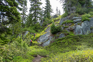 Climbing up from the creek crossing